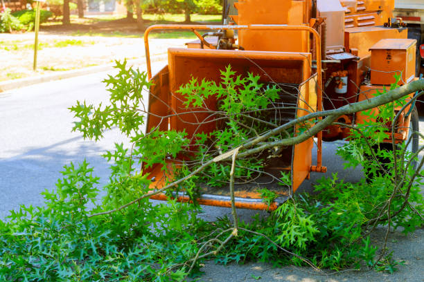 Best Commercial Tree Services  in Oshkosh, WI